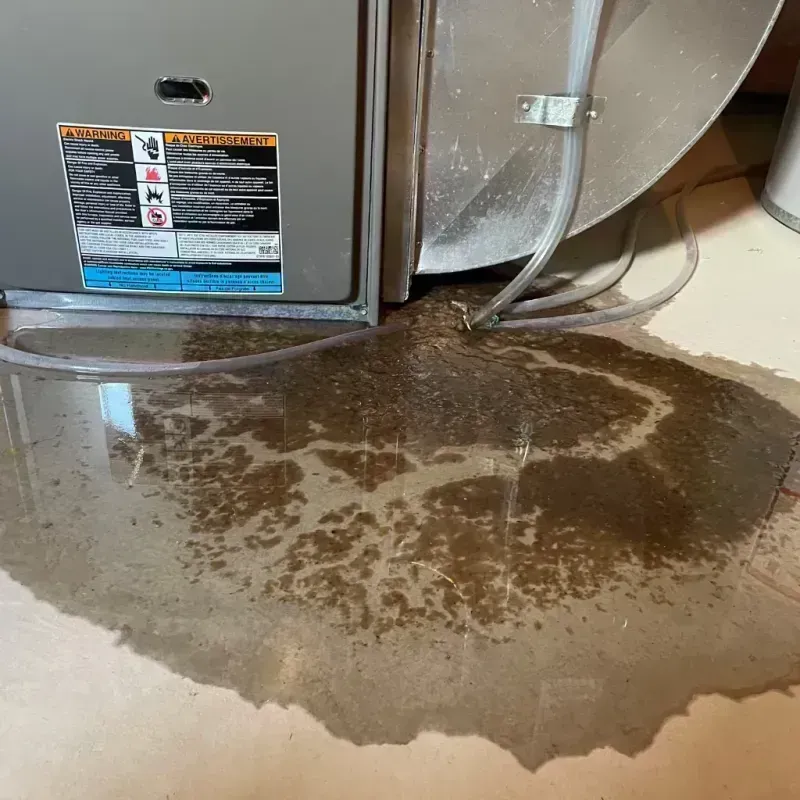 Appliance Leak Cleanup in Carrier Mills, IL